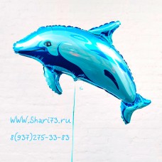 "Дельфин голубой"